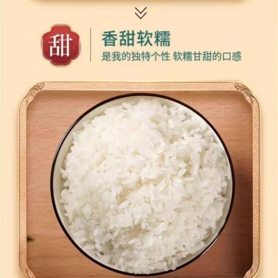 吃稻福10斤装新米五常国瑞原香贡米袋装一级大米单位福利采购批发图2