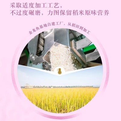 金龙鱼长粒香东北大米10斤新货口感软糯爽滑家用大米批发公司采购