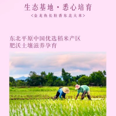 金龙鱼长粒香东北大米10斤新货口感软糯爽滑家用大米批发公司采购图4