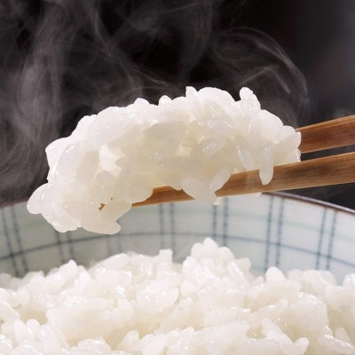 五常大米包邮10斤东北特产黑龙江大米现磨现发东北五常大米批发图4