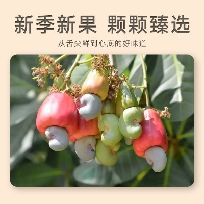 捉馋记炭烧腰果手抓包装干果仁每日坚果休闲零食批发250克图4