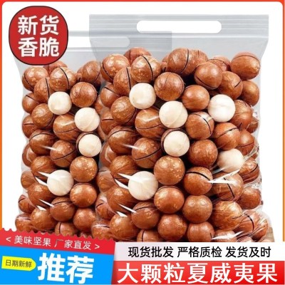 大颗粒奶香夏威夷果干果坚果批发休闲零食炒货坚果夏威夷果散装图2