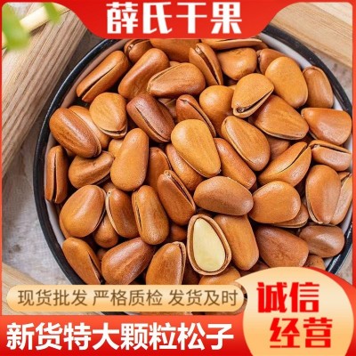 松子批發大颗粒东北松子孕妇儿童休闲零食含罐重坚果年货松子批发