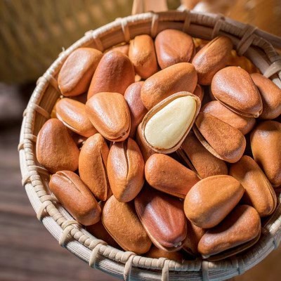 松子批發大颗粒东北松子孕妇儿童休闲零食含罐重坚果年货松子批发图2