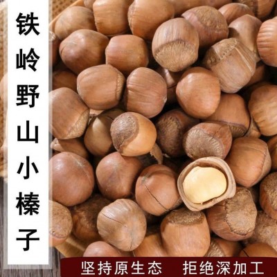 东北【袖珍非开口榛子】铁岭特产原味榛子新鲜坚果孕妇零食批发50 1袋