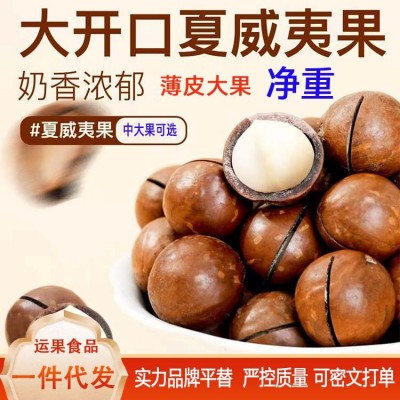 夏威夷果奶油味大果薄皮坚果零食500g 代发胡桃果手剥夏威夷果 2袋