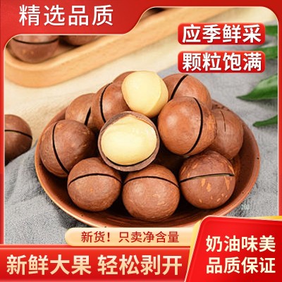 代发夏威夷果大果500g 奶油味坚果办公零食奶香薄皮开口夏威夷果 1袋图3