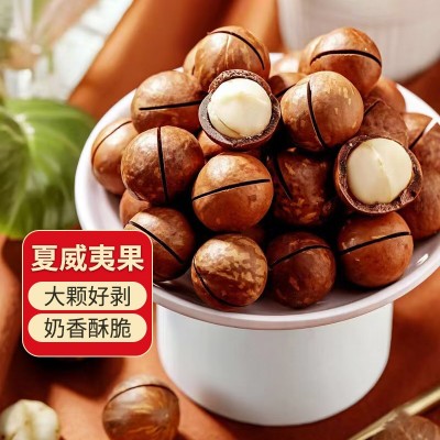 代发夏威夷果大果500g 奶油味坚果办公零食奶香薄皮开口夏威夷果 1袋