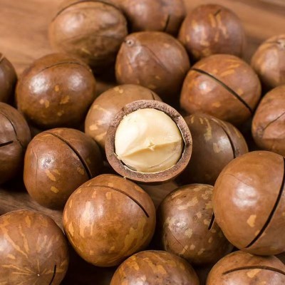 代发夏威夷果大果500g 奶油味坚果办公零食奶香薄皮开口夏威夷果 1袋图4