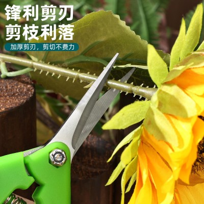 厂家批发葡萄剪摘果剪园艺剪刀花枝剪刀修枝剪尖头剪刀园林树枝剪图3