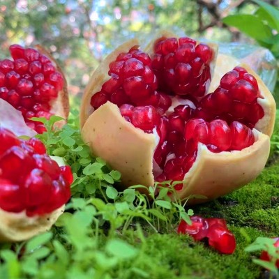 正宗陕西临潼石榴5斤9斤现摘净皮甜御石榴新鲜水果临潼甜石榴直发图2