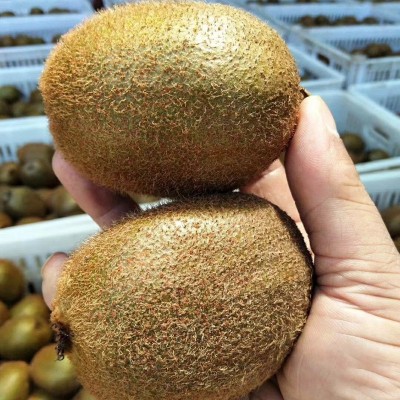 正宗陕西徐香猕猴桃24颗/30颗水果直发眉县绿心猕猴桃 新 鲜奇异果图3