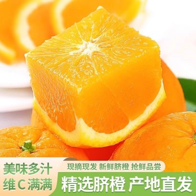 【顺丰包邮】正宗赣南甜脐橙新鲜现摘江西橙子当季孕妇水果整箱批图2