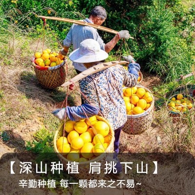 【顺丰包邮】正宗赣南甜脐橙新鲜现摘江西橙子当季孕妇水果整箱批图3
