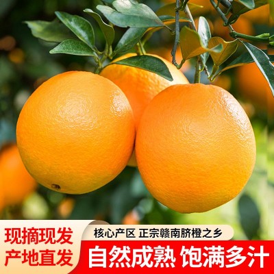 【顺丰到家】正宗江西赣南脐橙10斤甜橙子果冻橙产地直发新鲜包邮图2