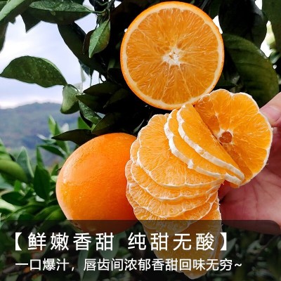 【顺丰到家】正宗赣南脐橙新鲜现摘江西橙子当季孕妇水果整箱批发图5