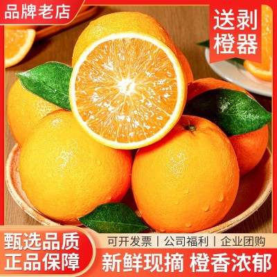 【顺丰包邮】正宗江西赣南脐橙新鲜当季水果整箱赣州产地直发彩箱图2