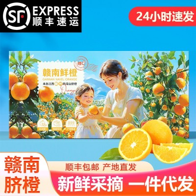 【顺丰包邮】正宗江西赣南脐橙新鲜当季水果整箱赣州产地直发彩箱
