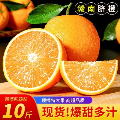 【顺丰包邮】正宗江西赣南脐橙新鲜当季水果整箱赣州产地直发彩箱图4