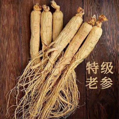 人参长白山新鲜东北特产泡酒整根人参批发吉林干参白全须图2