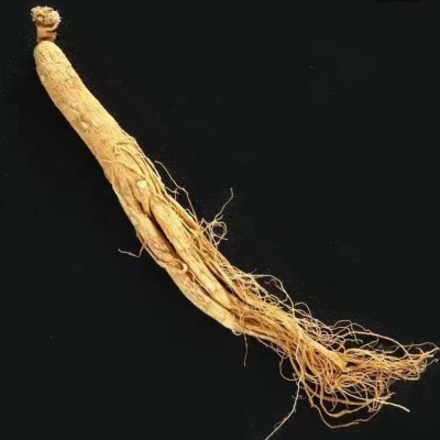 人参长白山新鲜东北特产泡酒整根人参批发吉林干参白全须