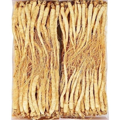 人参长白山新鲜东北特产泡酒整根人参批发吉林干参白全须图4