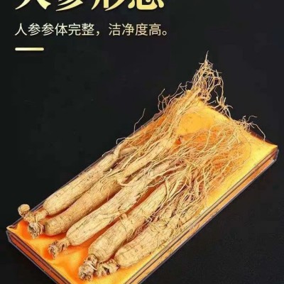 人参长白山新鲜东北特产泡酒整根人参批发吉林干参白全须图5