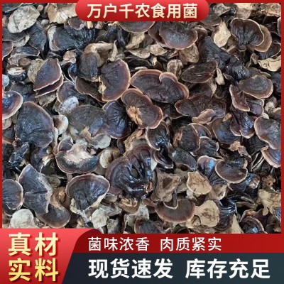 产地批发金边灵芝金边小灵芝煲汤滋补干货山东图2