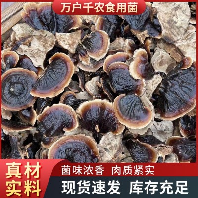 产地批发金边灵芝金边小灵芝煲汤滋补干货山东图3