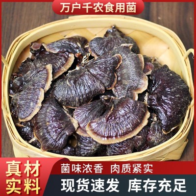 产地批发金边灵芝金边小灵芝煲汤滋补干货山东