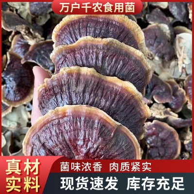 产地批发金边灵芝金边小灵芝煲汤滋补干货山东图4