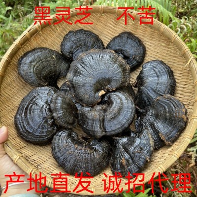 批发黑灵芝整支不苦礼盒量大基地直发无柄可切片诚招代理煲汤图2