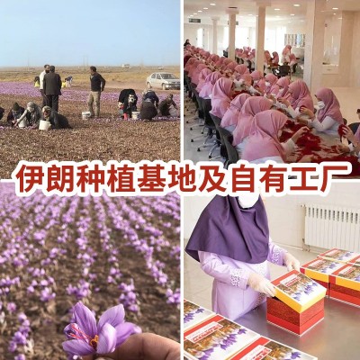 伊朗藏红花批发瓶装西红花礼盒藏红花支持代发多规格红花产地批发图2