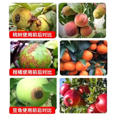 清满园果树消刹灵杀菌剂清棚剂恢复树势微生物菌剂清园剂叶面肥料图4