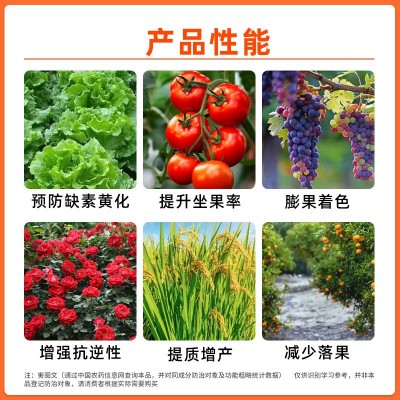 含氨基酸水溶肥料十二元素果树蔬菜中药材高钙高钾全营养叶面肥图3