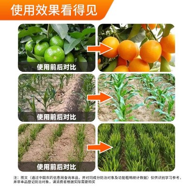 浓缩海藻精促根壮苗抗旱抗逆绿叶靓果果树草莓蔬菜柑橘农用水溶肥图4