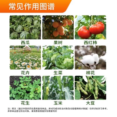 浓缩海藻精促根壮苗抗旱抗逆绿叶靓果果树草莓蔬菜柑橘农用水溶肥图3