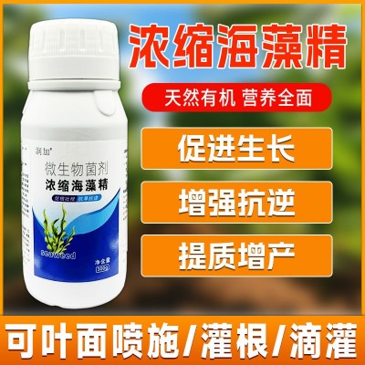 浓缩海藻精促根壮苗抗旱抗逆绿叶靓果果树草莓蔬菜柑橘农用水溶肥图2