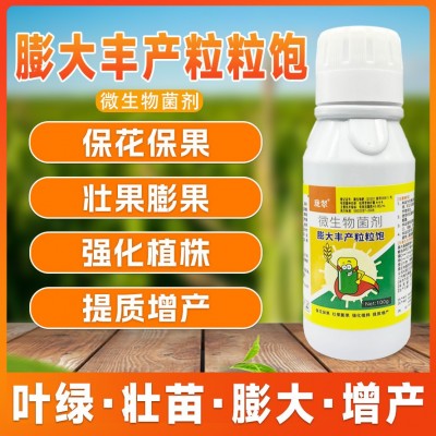 专用膨大丰产粒粒饱粒大壮苗生根促进生长高产玉米专用复合水溶叶面肥