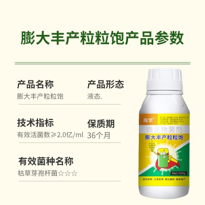 专用膨大丰产粒粒饱粒大壮苗生根促进生长高产玉米专用复合水溶叶面肥图2