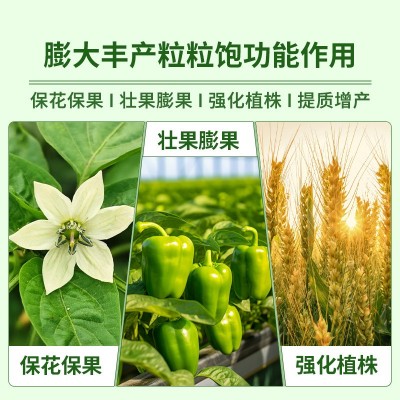 专用膨大丰产粒粒饱粒大壮苗生根促进生长高产玉米专用复合水溶叶面肥图5