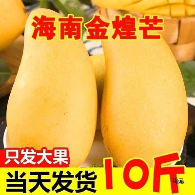 海南金煌芒水仙芒果10斤装整箱热带水果新鲜大芒果甜心芒金兴