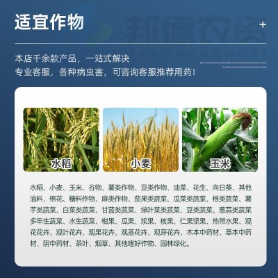 德国康朴金 水稻小麦玉米促生长发育大量元素水溶肥料农用叶面肥图5