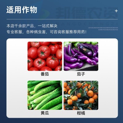 益施帮先正达 含氨基酸水溶肥黄瓜番茄等蔬菜肥料通用肥料叶面肥图3