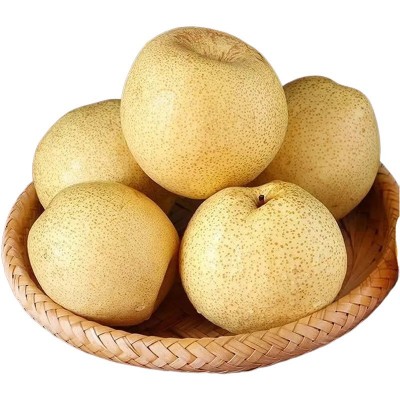 安徽砀山酥梨产地直发酥梨梨子包邮新鲜水果砀山酥梨一件代发