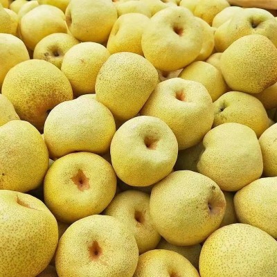 安徽砀山酥梨产地直发酥梨梨子包邮新鲜水果砀山酥梨一件代发图3