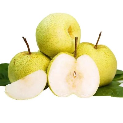 安徽砀山酥梨产地直发酥梨梨子包邮新鲜水果砀山酥梨一件代发图5