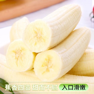 高山甜香蕉新鲜水果9斤当季现摘芭蕉小米蕉大香焦绿批发整箱5包邮图4