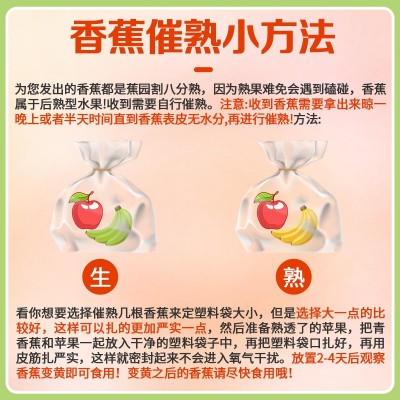 高山甜香蕉新鲜水果9斤当季现摘芭蕉小米蕉大香焦绿批发整箱5包邮图3