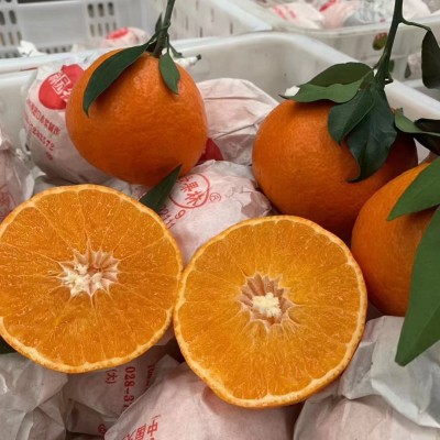 四川爱媛38号果冻橙9斤新鲜当季橙子水果柑橘蜜桔手剥橙大果包邮图2